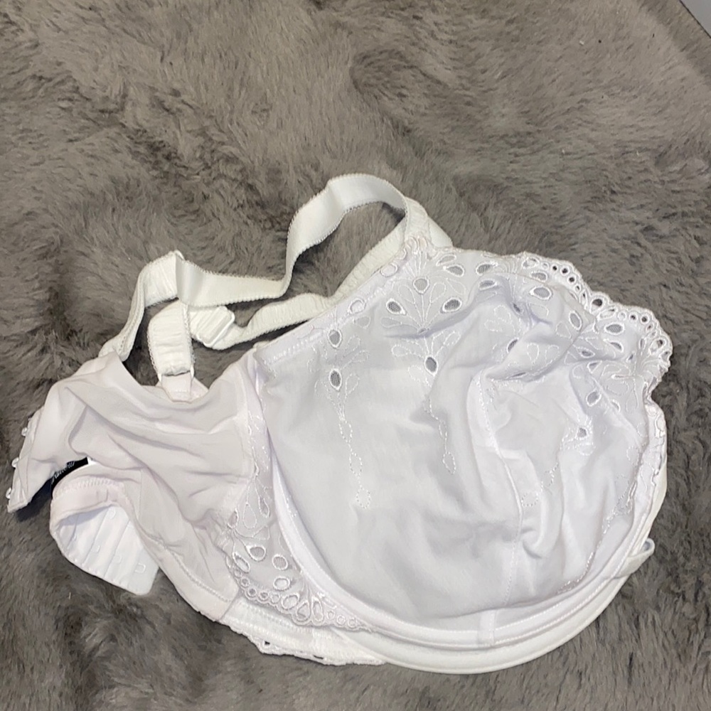 Wired padless bra